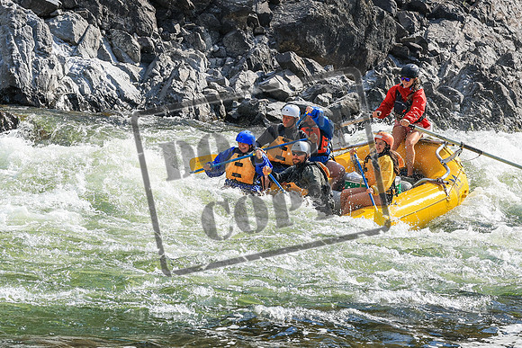 20260829-IMG_4158