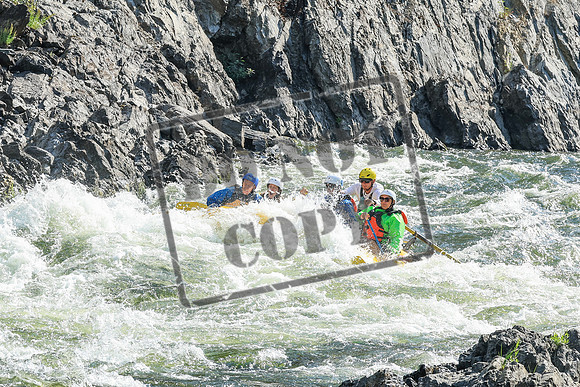 20260829-IMG_4202