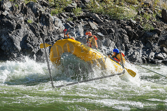 20260905-IMG_8206