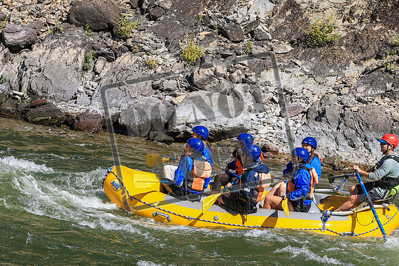 20260905-IMG_8541