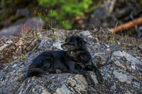 20260919-IMG_3230