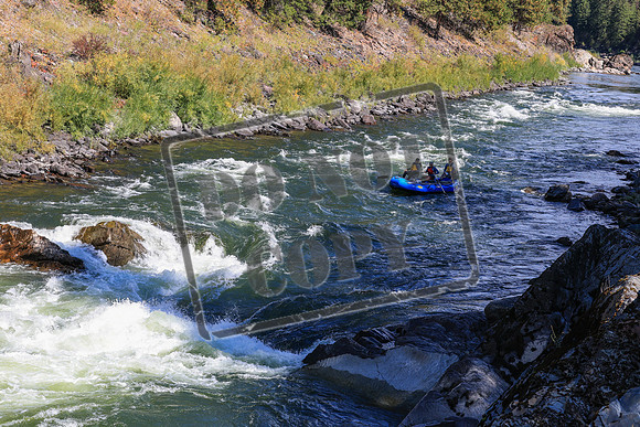 20260919-IMG_2769