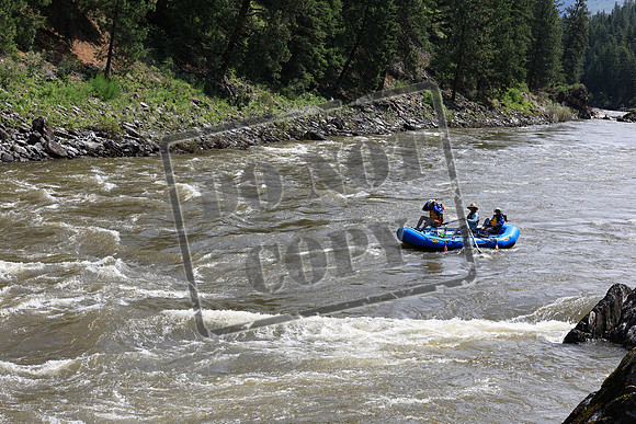20230612-IMG_1918