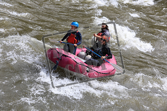 20230603-IMG_7008
