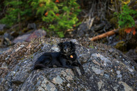 20260919-IMG_3227