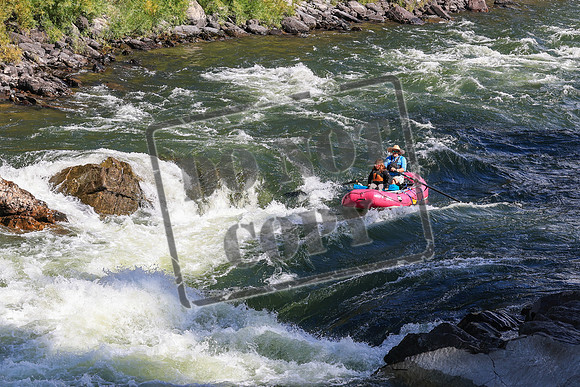 20260919-IMG_2730