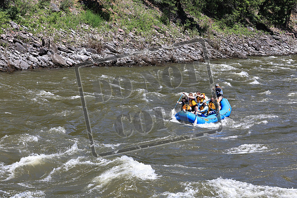 20230606-IMG_8309