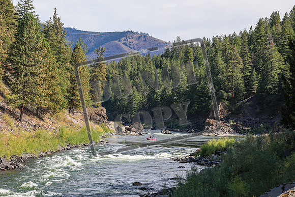 20260919-IMG_2724