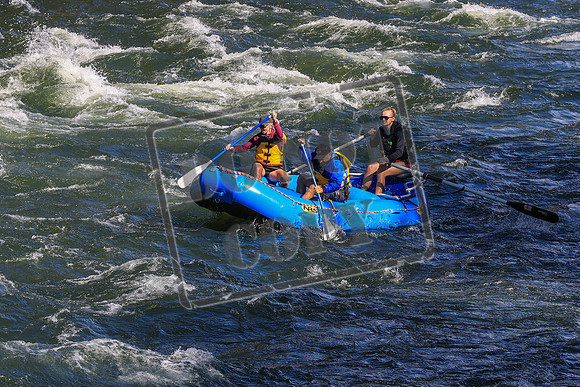 20260919-IMG_2818