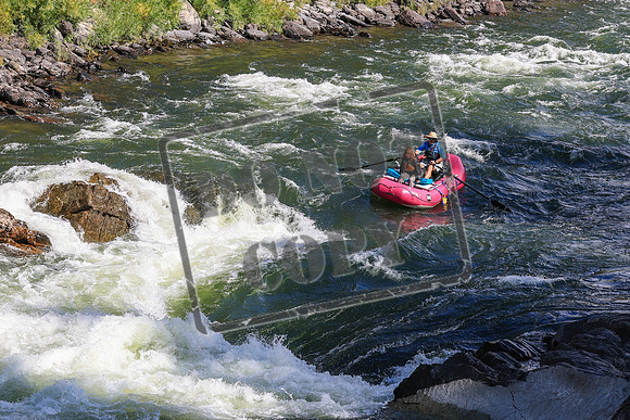 20260919-IMG_2729
