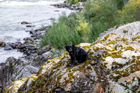 20260918-IMG_2624