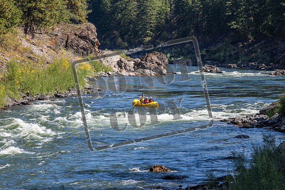 20260917-IMG_2449