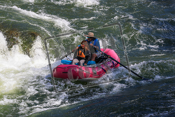 20260919-IMG_2731