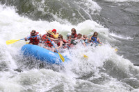 Raft 4