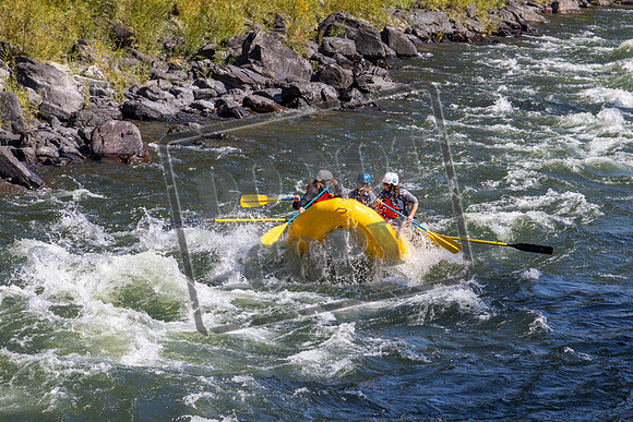 20260924-IMG_3632