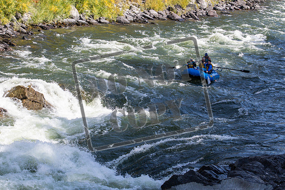 20260924-IMG_3678