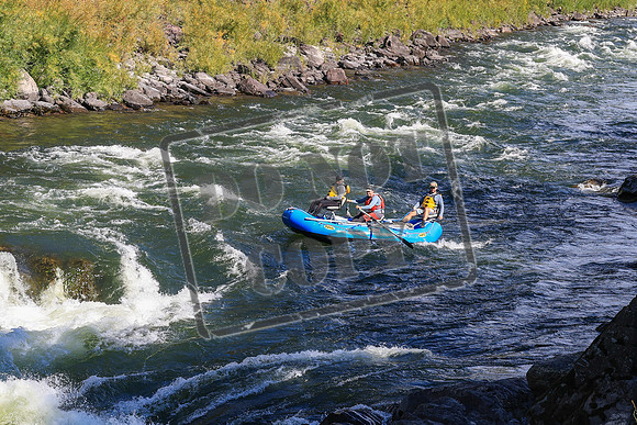 20260919-IMG_2771