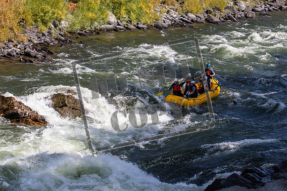 20260924-IMG_3637