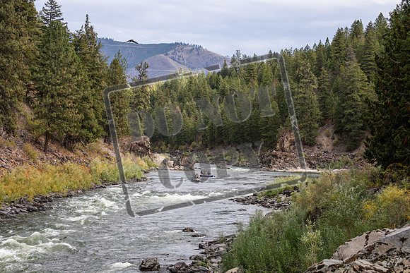 20260925-IMG_3783