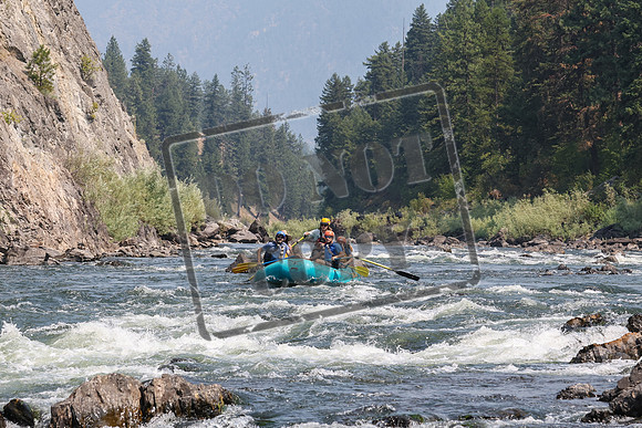 20240727-IMG_7303