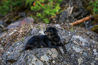 20260919-IMG_3231