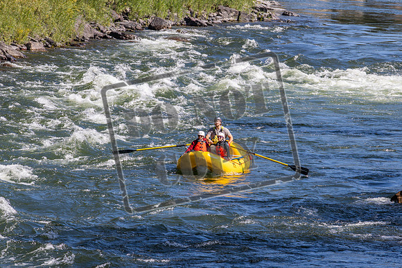 20260917-IMG_2450