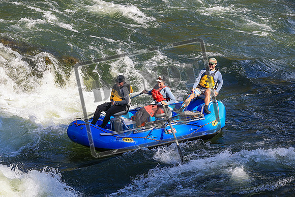 20260919-IMG_2774
