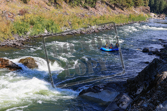 20260919-IMG_2770