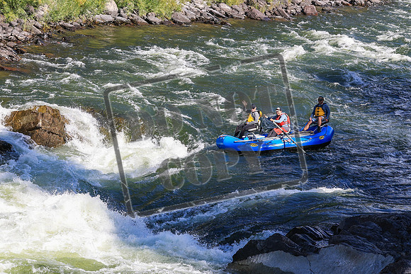 20260919-IMG_2772