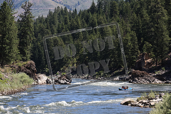 20220714-IMG_7665