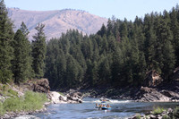 Paws Up Raft 1