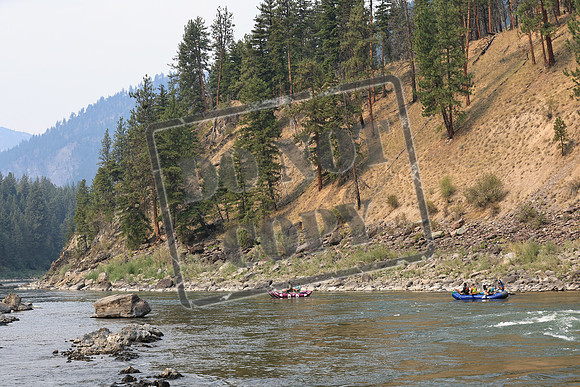 20220903-IMG_5231