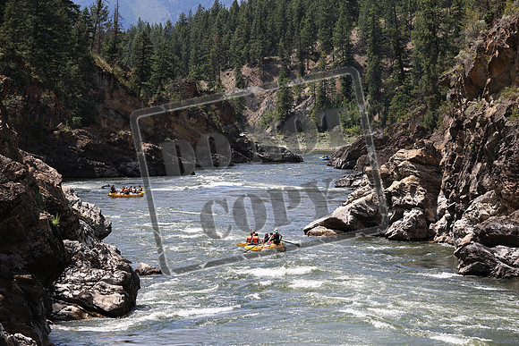 20230706-IMG_1107