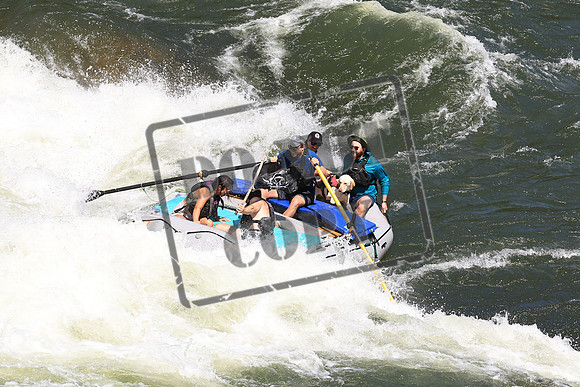 20230708-IMG_6560