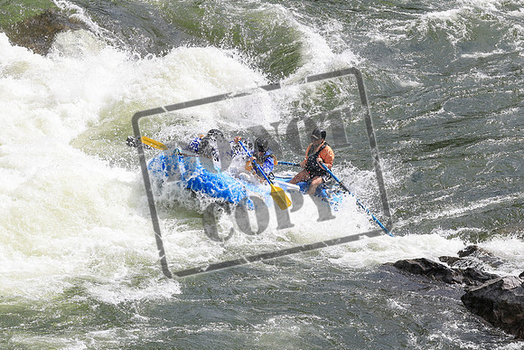 20250627-IMG_6596