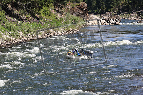 20230707-IMG_3123