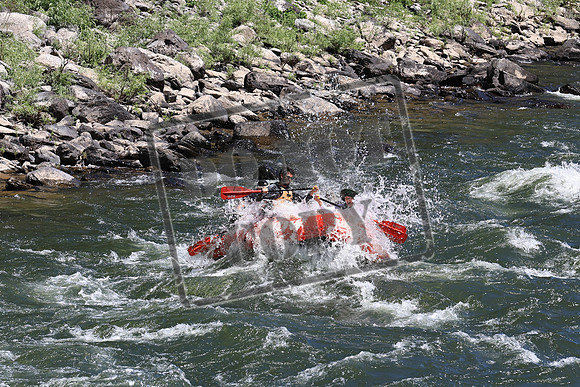 20230712-IMG_3621
