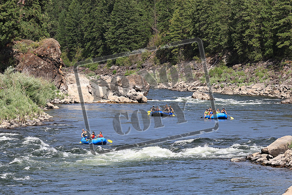 20230716-IMG_7770