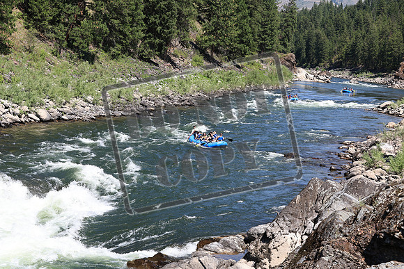 20220724-IMG_0596
