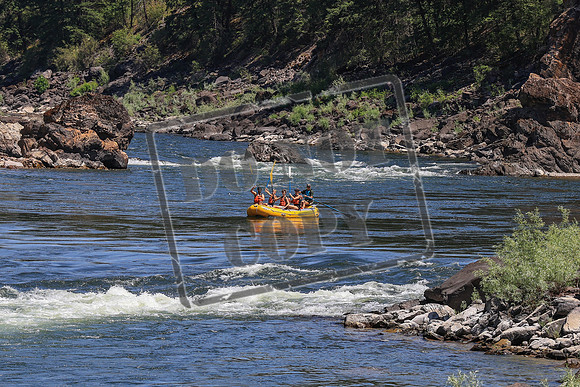 20250702-IMG_0041