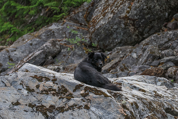 20250606-IMG_0497