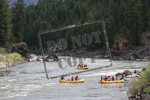 20220706-IMG_4428
