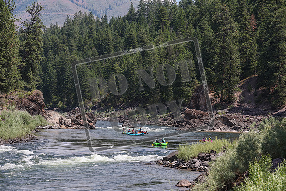 20240706-IMG_1846