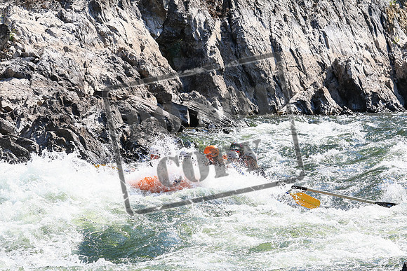20230803-IMG_6658