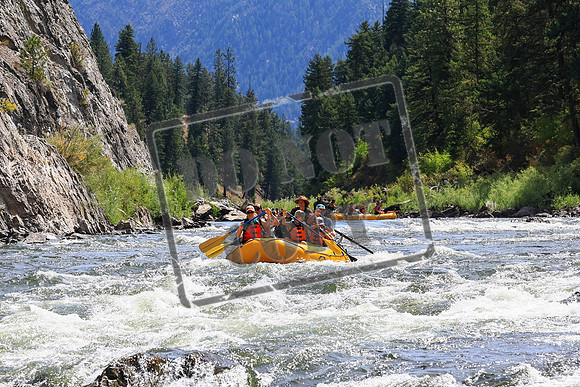 20230812-IMG_2630