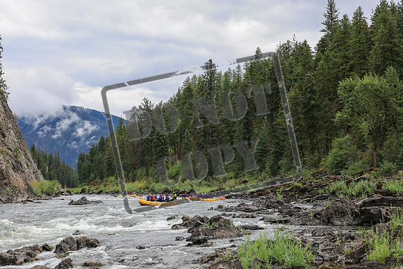 20250807-IMG_3936