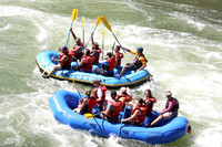 Zoo Town Surfers