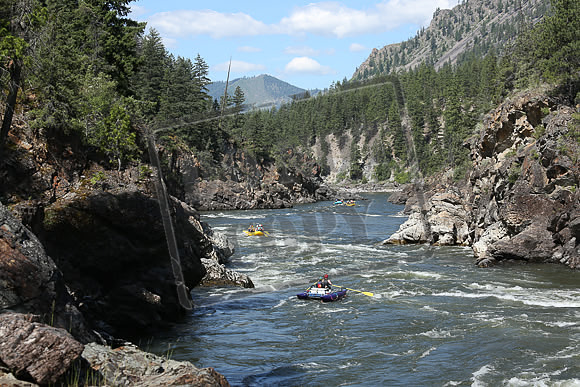 IMG_3717.jpg