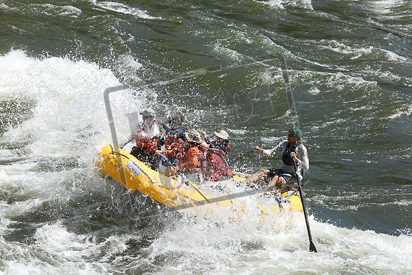IMG_3884.jpg