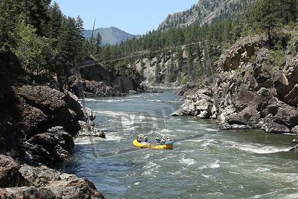 IMG_6563.jpg